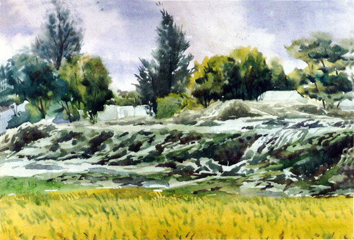 স্বপ্নগুলি ধূসর হয়ে উঠে ধীরে…