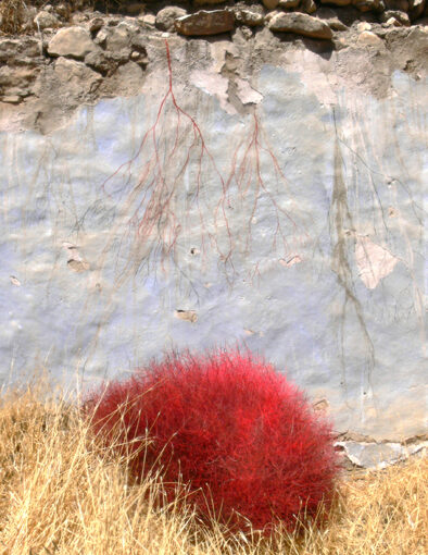 Satana International Artists Workshop-2008