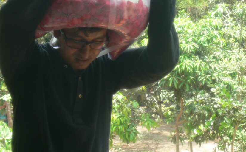 Photos from previous Works and Activities: